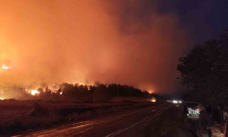 Bursa’da orman yangını...Rüzgarın etkisiyle büyüdü 1 bursada orman yanginiruzgarin etkisiyle buyudu 49f8b80333b2 |