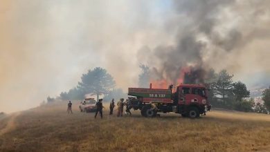 bursadaki orman yangini kontrol altina alindi 1aca0a5c7d72 |