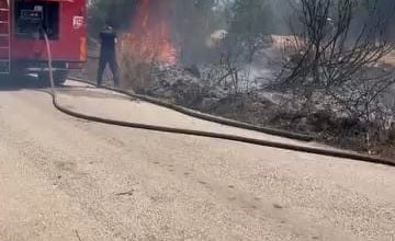 calilik alanda cikan yangin korkuttu 1ff0469535af |