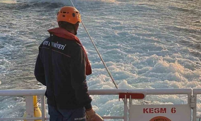 canakkale bogazinda makine arizasi yapan tekne yedeklenerek cekildi 7342bd177e8e |