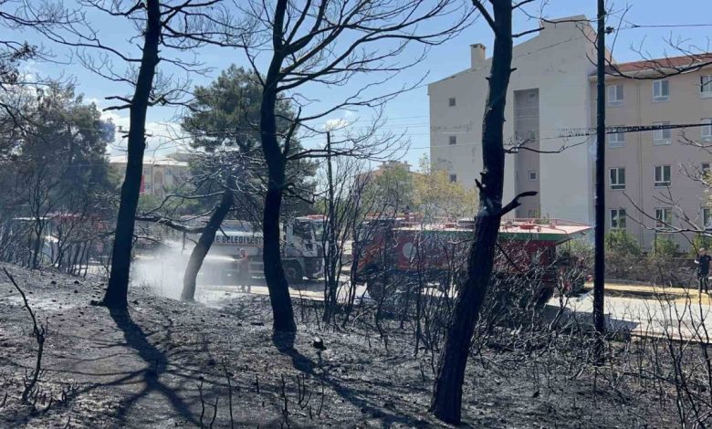 Çanakkale’de çıkan orman yangını kontrol altına alındı, okullar ve pansiyonlar ucuz kurtuldu 1 canakkalede cikan orman yangini kontrol altina alindi okullar ve pansiyonlar ucuz kurtuldu 8a808e1f98ca |