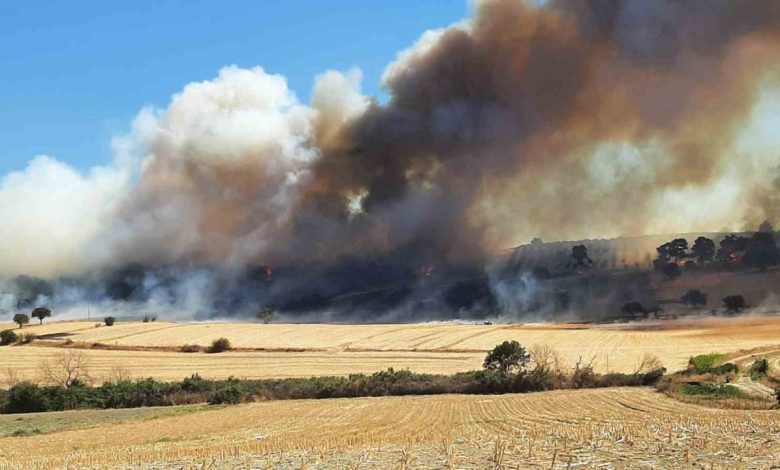 canakkalede orman yangini 9f4d1a6918c9 |