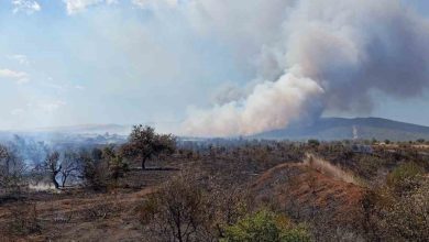 canakkalede tarim arazisinde baslayan yangin ormanlik alana sicradi 916f6ffd4cb9 |