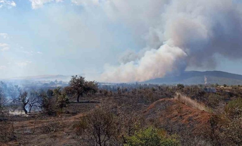 canakkalede tarim arazisinde baslayan yangin ormanlik alana sicradi 916f6ffd4cb9 |