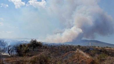 canakkalede tarim arazisinde yangin 810fc7306ddf |