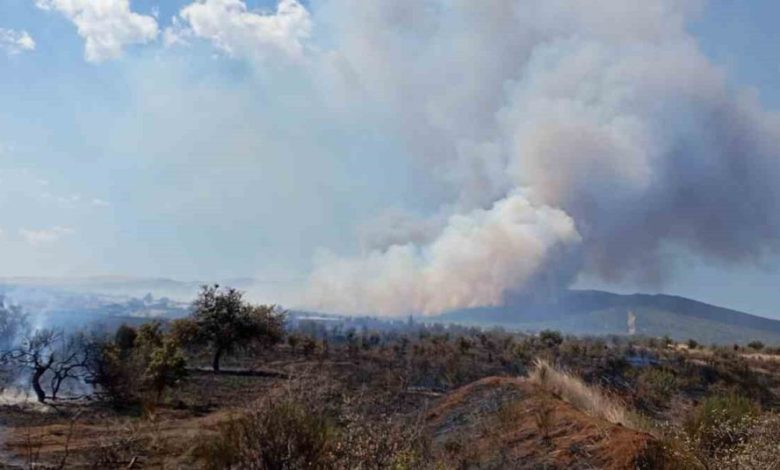 canakkalede tarim arazisinde yangin 810fc7306ddf |