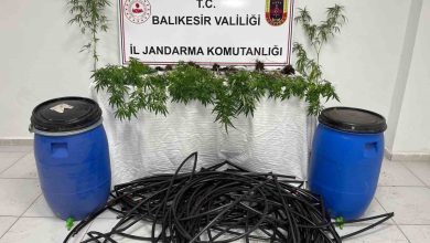 damlama sulamali kenevir tarlasina jandarma baskini 376c4cff45bc |
