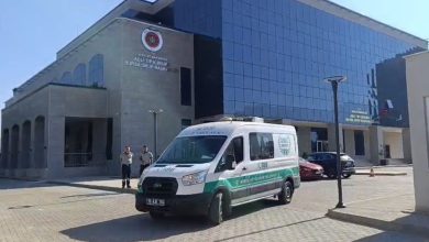 ellerini ve yuzunu baliklar yemis 42317174e46c |
