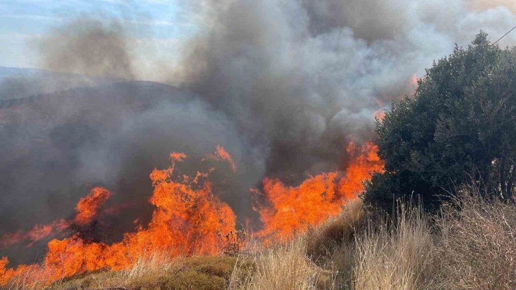 erdekte 100 donumluk alanda yangin f25df9c097f2 |