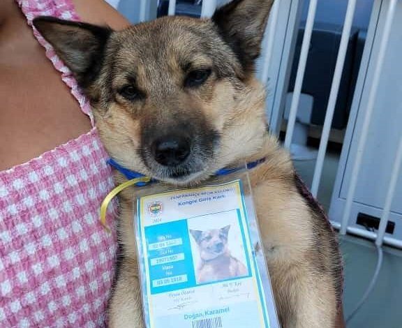 Fenerbahçe başkanlık seçiminde oy kullanma sona erdi 1 fenerbahce baskanlik seciminde oy kullanma sona erdi 27afc9019441 |