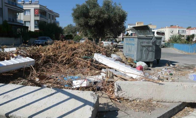 foca belediye baskani fici bir kez daha tekrarlamak istiyorum cevre atiklarini toplamayacagim 7759be1fbd02 |