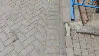 gaziosmanpasada agizliksiz gezdirilen pitbull baska kopege saldirdi f0a9317e3609 |