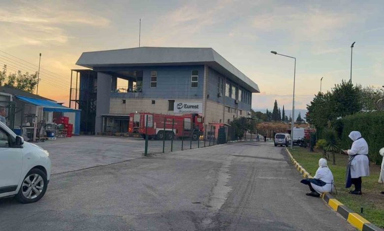 gemlik serbest bolgede cikan yangin panige neden oldu 45bac034f2d4 |