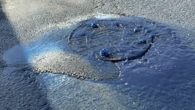 Hadımköy’de kanalizasyondan mavi atık su taştı 3 hadimkoyde kanalizasyondan mavi atik su tasti 6aa7447b8970 |