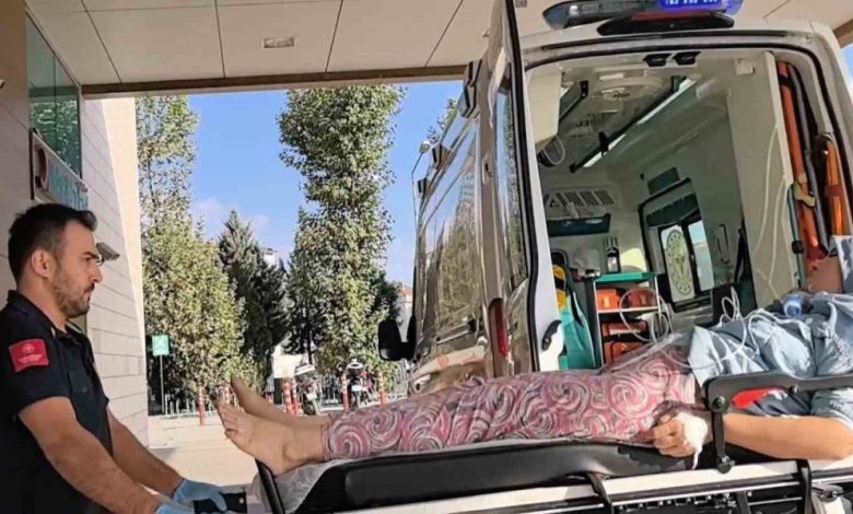 Hayvan çiftliğinde yangın çıktı: 1 kişi hastaneye kaldırıldı 1 hayvan ciftliginde yangin cikti 1 kisi hastaneye kaldirildi 72bdaea21e03 |