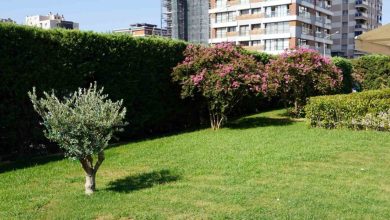 icerisi sifa disarisi botanik bahcesi a005f9dc6be9 |