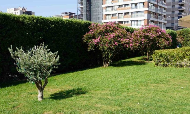 icerisi sifa disarisi botanik bahcesi a005f9dc6be9 |