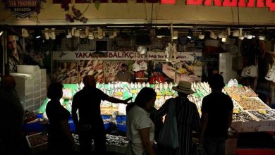 istanbulda balik sezonu hamsi ve istavrit bolluguyla basladi 38710cbb4e2a |
