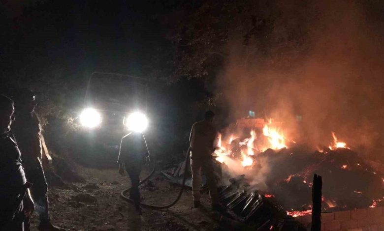 ivrindide hayvan dami yandi 3c238794f7d2 |