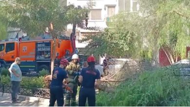izmirde agac park halindeki otomobillerin uzerine devrildi 244a20e187b3 |