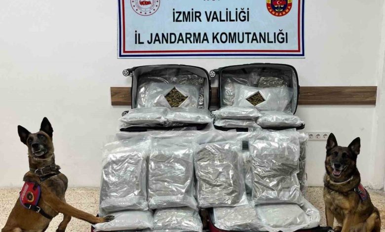 izmirde uyusturucu ticaretine jandarmadan gecit yok ae38c9c578c7 |