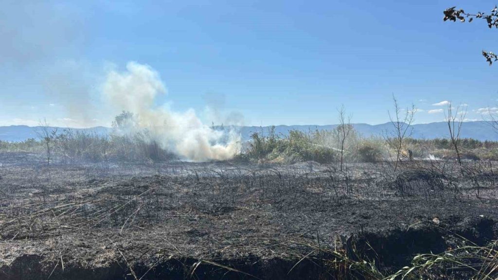 iznik boyalicada sazlik alanda yangin 100 donum alan kule dondu f5a1e3c92e84 |