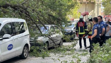 kadikoyde agac dali iki otomobilin uzerine devrildi 03e8cd3cbe52 |