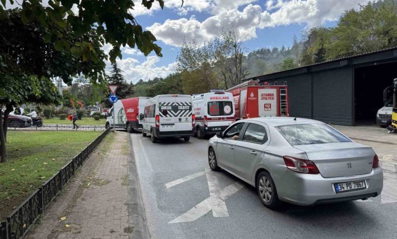 kagithanede agaclik alan alev alev yandi 873d9bdc31ac |