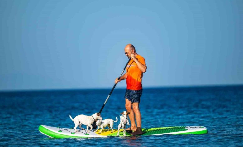 Köpekleriyle deniz keyfi 1 kopekleriyle deniz keyfi 4953743c0d53 |