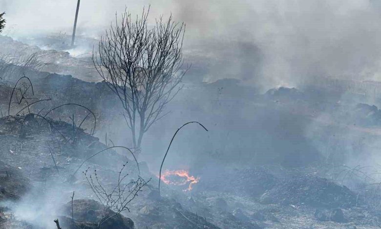 manyas kus cenneti yakininda yangin panigi 82784811f487 |