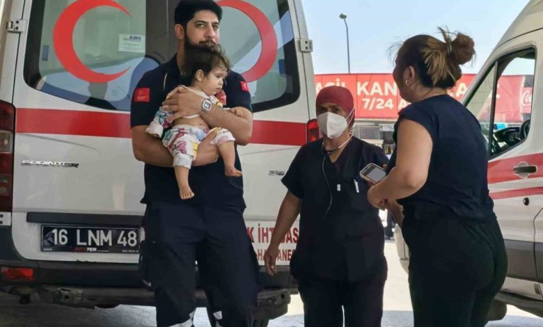 Maraş otu yutan 1 yaşındaki bebek hastanelik oldu 1 maras otu yutan 1 yasindaki bebek hastanelik oldu 2ef87daf8357 |