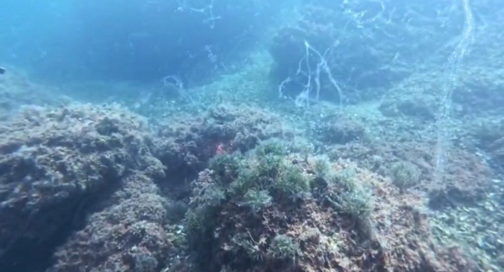 marmara denizinde yeni musilaj alarmi 8178f95fda70 |