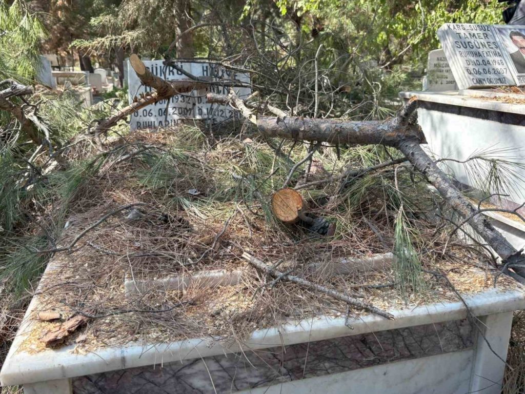 mezarlikta budanan agaclar kabirlere zarar verdi 4911c03866ba |