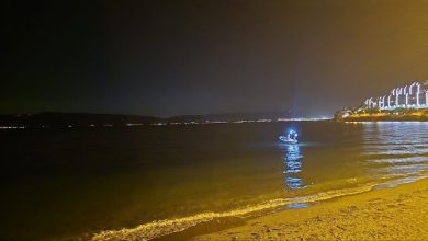 mudanyada denizde ciglik seslerini duyan sahile kostu 5e87ba7cb883 |