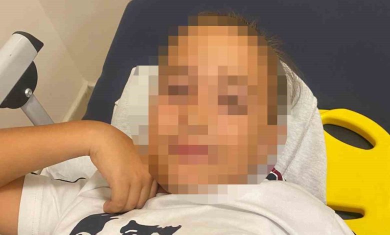 okul bahcesinde bayrak diregi ogrencilerin uzerine devrildi 1 cocuk yaralandi b1d9ac799e73 |