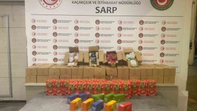 sarp gumruk kapisi ve istanbulda 601 kilo uyusturucu ele gecirildi 603c04edc53a |