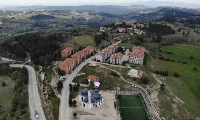 site sakinlerine yavru ayi uyarisi a42ec4cc2c27 |