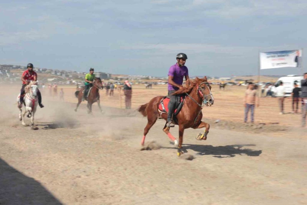 turkiyenin sampiyon atlari menemende yaristi 3f9e99f00a84 |
