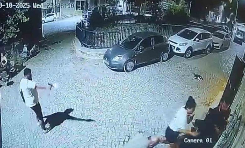 urlada 2 kisinin oldugu eski sevgili dehsetinin goruntuleri ortaya cikti 65e99d543182 |