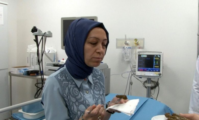 Yaklaşık 1 yıldır içemediği suyun ve yiyemediği yemeklerin acısını yaprak sarmasıyla çıkardı 1 yaklasik 1 yildir icemedigi suyun ve yiyemedigi yemeklerin acisini yaprak sarmasiyla cikardi 3b86ca5551be |