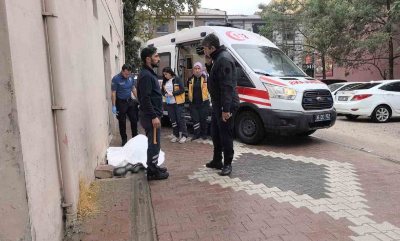 Yaşlı adam sokakta ölü bulundu 1 yasli adam sokakta olu bulundu 774d2d851f9a |