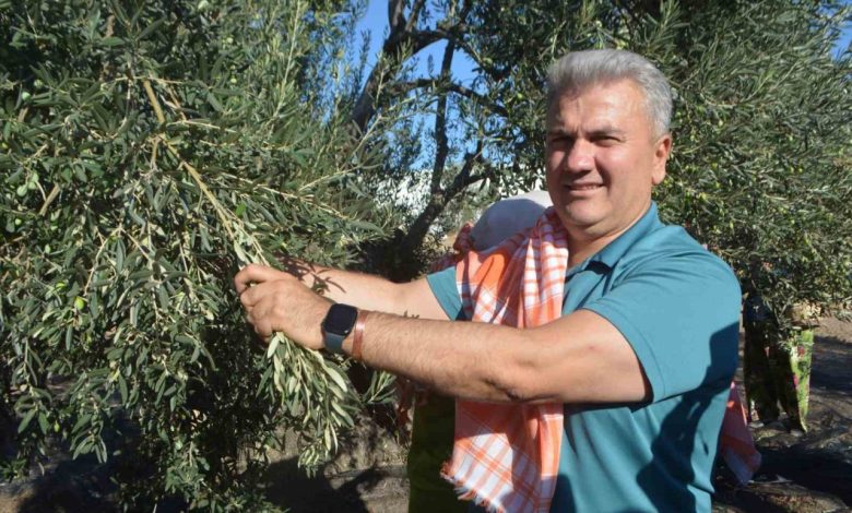 zeytinyaginda ab tescili icin cabalar suruyor a312ec8066f1 |