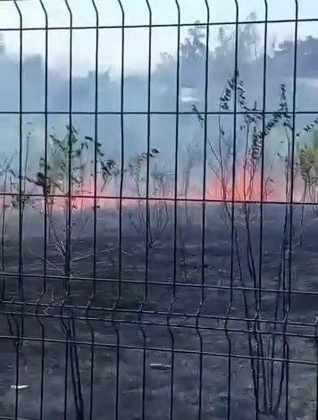 Ziraat meslek lisesinin bahçesi alevlere teslim oldu 1 ziraat meslek lisesinin bahcesi alevlere teslim oldu 86fca571f4c1 |