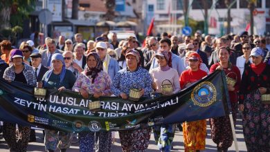 20. Ayvalık Uluslararası Zeytin Hasat ve Turizm Festivali Başlıyor 5 03 2 |