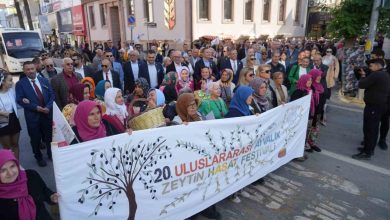 20 ayvalik uluslararasi zeytin hasat ve turizm festivali basladi 66d1bca13b13 |