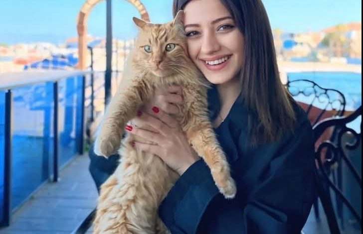 Edremit'te Genç Kıza Çarpıp Kaçan Sürücü Jandarmadan Kaçamadı 1 571199341 25266020226355735 1472617334729377364 n |