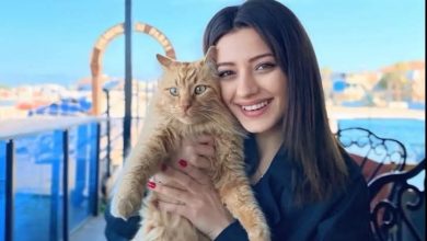 571199341 25266020226355735 1472617334729377364 n e1761750744263 |