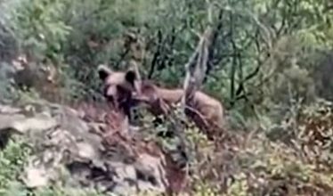 AW567553 01 e1761569515202 |