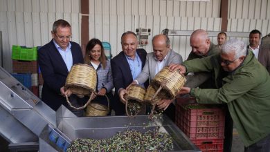 AYVALIKTAN DOPDOLU PROGRAMIYLA BIR FESTIVAL DAHA GECTI 2 1 |