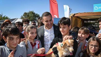 Başkan Akın’dan can dostlar için ‘Doğal Yaşam Alanı’ müjdesi 2 WhatsApp Gorsel 2025 10 04 saat 13.37.24 60e720c6 |